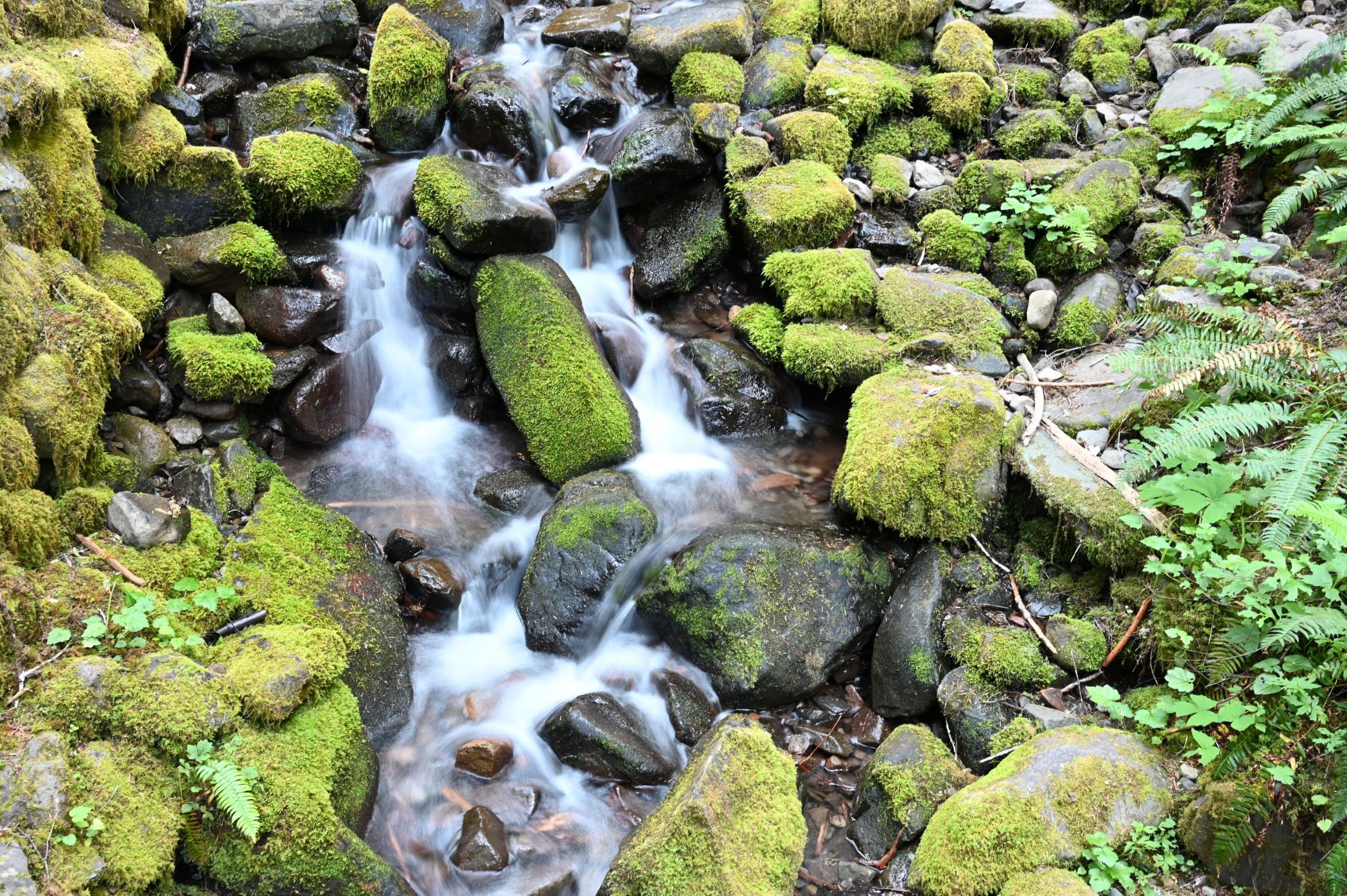 image of soft water in a stream
