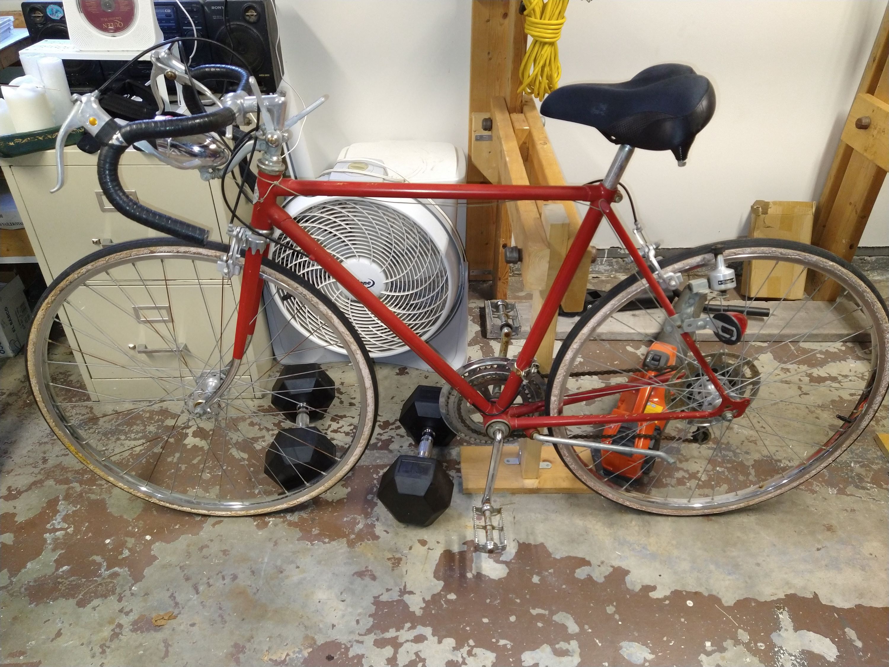 image of the full bike before overhaul