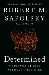 Image of the book determinded